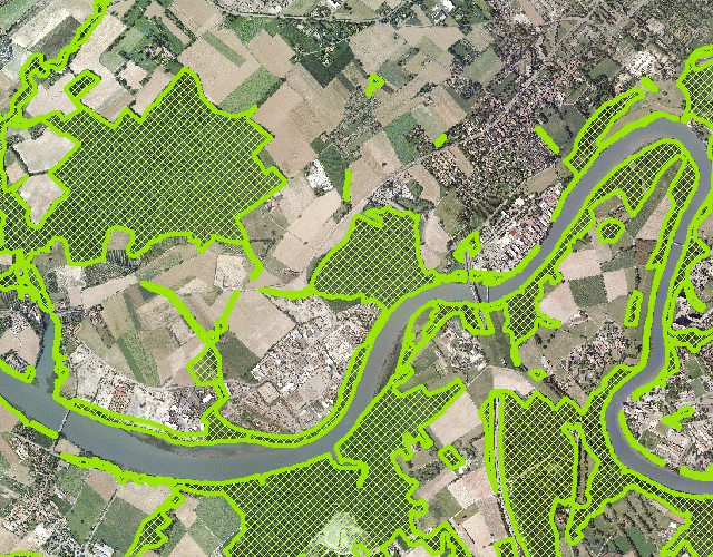 Cadastre forestier