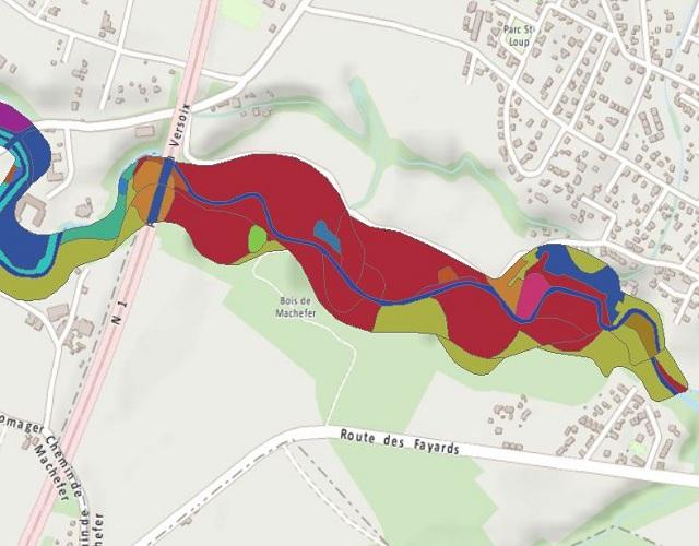 Végétation des zones alluviales