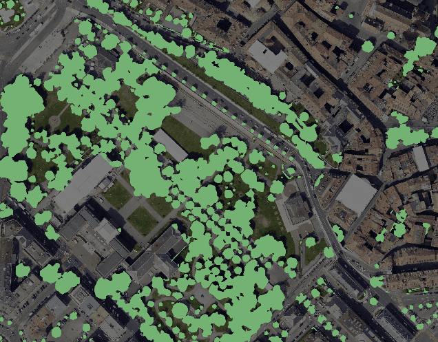 Modèle numérique de surface de canopée - État 2019