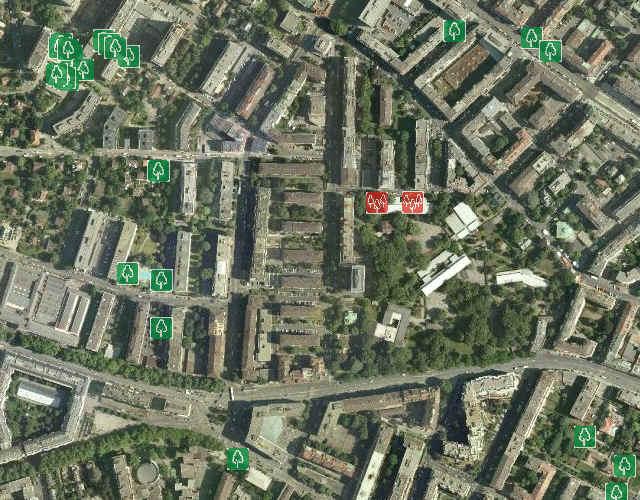 Ville de Genève - Nouveaux arbres plantés depuis 3 ans